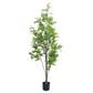 Premium Real Touch Artificial Bracken Palm Tree 180cm