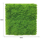 Fresh Natural Green Artificial Moss / Green Wall UV Resistant 1m x 1m