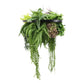 Black Framed Roof Hanging Disc With Tropical Foliage Mix and Draping Stems 60cm UV Resistant