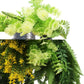 Silver Framed Roof Hanging Disc With Bright Tropical Foliage Mix and Draping Ferns 40cm UV Resistant