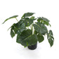 Dense Potted Artificial Monstera Deliciosa Plant With Real Touch Leaves 50cm