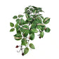Artificial Hanging / Draping Wandering Jew 42cm