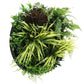 Slimline Artificial Green Wall Disc Art 50cm Grassy Fern Fields UV Resistant (Black)