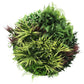 Slimline Artificial Green Wall Disc Art 80cm Grassy Fern UV Resistant (White)