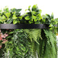 Black Artificial Hanging Green Wall Disc 60cm UV Resistant