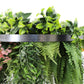 Silver Artificial Hanging Green Wall Disc 60cm UV Resistant