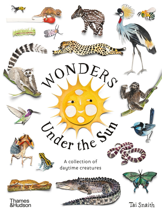 Wonders Under the Sun: A Collection of Daytime Cre