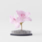 Kenzan Ikebana Pin Base 7.6cm Fan