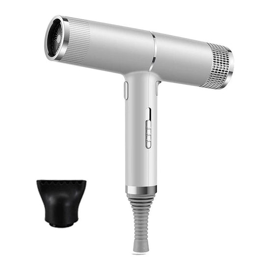 NNEOBA Strong Wind Hair Dryer with Blue Light & Anion Technology