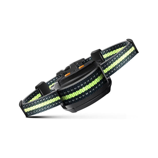 Reflective Dog Collar with Adjustable Strap and Durable Buckle,High Visibility for Night Safety