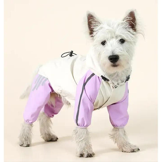 Waterproof Dog Raincoat with Hidden Leash Hole - Windproof and Comfortable for Outdoor Walks, Size:S (Back Length 20cm/7.87in, Bra 31cm/12.20in) Purple