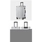 Aluminum Alloy Hard-Shell Suitcase with TSA Lock -20" Spinner Luggage in Silver