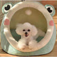 Green Frog Half-Enclosed Cat Bed - Soft Short Velvet Fabric with Sponge + PP Cotton Filling, S Size (28x28x30cm)