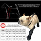 XXL Waterproof Non-Slip Dog Shoes – All-Season Dog Boots for Protection, Anti-Slip Pet Footwear, Durable and Comfortable