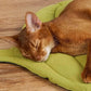 1 Pcs Yellow Leaf-Shaped Pet Sleeping Mat - Durable Dog Floor Pad & Cat Bed for Sleeping and Playtime