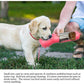 Pink 500ml Portable Pet Water Bottle | Multifunctional Travel Pet Feeder | Outdoor Dog Drinking Bottle with Waste Shovel