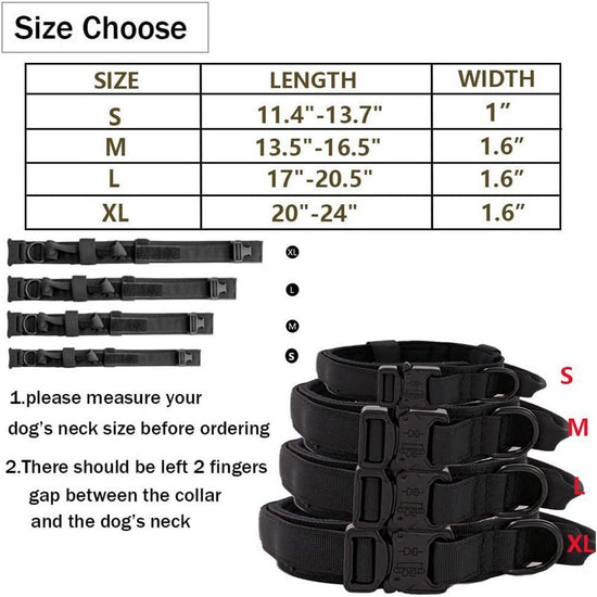 L Black Hands-Free Dog Leash with Adjustable Waist Belt - Shock Absorbing Bungee Lead