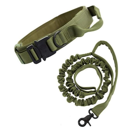 M Green Hands-Free Dog Leash with Adjustable Waist Belt - Shock Absorbing Bungee Lead