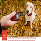 Blue Remote Dog Training Collar with Adjustable Vibration - Rechargeable, Waterproof, 2 Channels for Small to Large Dogs