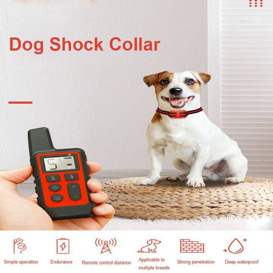 Red Remote Dog Training Collar with Adjustable  Vibration - Rechargeable, Waterproof, 2 Channels for Small to Large Dogs
