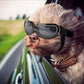 Silver Lenses Pet Sunglasses for Dogs and Cats - UV Protection, Adjustable Strap, Anti-Wind and Anti-Fog Pet Goggles