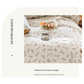 Funny Alphabet Thick Brushed Cotton 4-Piece Bed Sheet Set (1.5m Bed) - Fits 200x230cm Duvet