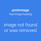 XL Navy Blue Women&