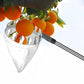 Telescoping Fruit Picker - Apple, Peach, Persimmon Harvesting Tool with Collection Bag, High Reach Fruit Catcher 2.4m