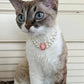 3-pcs Pink Diamond  Double Strand Pearl & Rhinestone Pet Necklace - Luxury Collar for Cats & Dogs Size S (20-26CMCM)