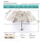 Ivy apricot yellow Elegant Lace Parasol - UV Protection, Sun & Rain Umbrella, Tri-Fold Design