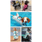 Size L Grey Pet Life Jacket for Dogs - Summer Swimming Safety Vest with Shark Fin for Small to Large Breeds