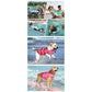 Size L Grey Pet Life Jacket for Dogs - Summer Swimming Safety Vest with Shark Fin for Small to Large Breeds
