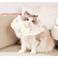 2 Pcs Size S Beige Comfortable Pet Recovery Collar | Waterproof Anti-Lick Collar for Cats & Dogs