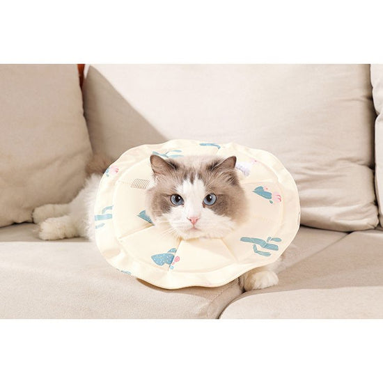 2 Pcs Size M Beige Comfortable Pet Recovery Collar | Waterproof Anti-Lick Collar for Cats & Dogs