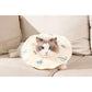 2 Pcs Size M Beige Comfortable Pet Recovery Collar | Waterproof Anti-Lick Collar for Cats & Dogs
