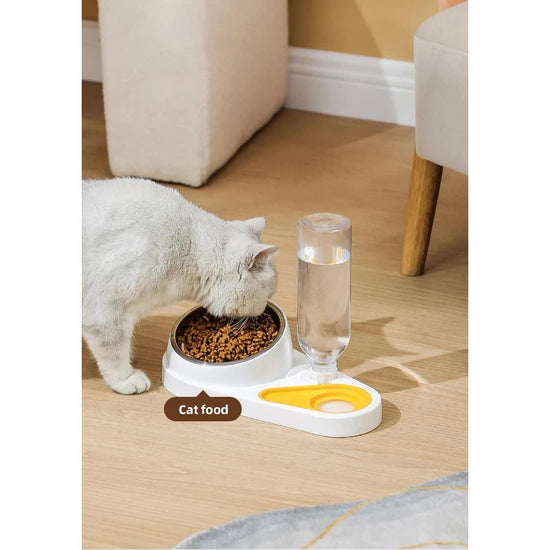 Blue Pet Bowl Set with Automatic Gravity Water Dispenser - Stainless Steel & PP Feeder Station