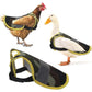 4 Pcs Fluorescent Green High Visibility Chicken & Duck Safety Vest - Reflective Poultry Jacket