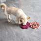 Silicone Dog Slow Feeder and Licking Mat - 2 in 1 Puzzle Bowl for Dog Slow Feeding(Light purple)
