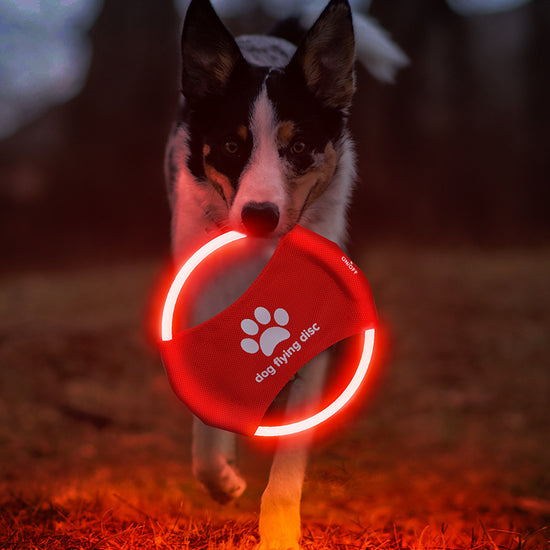 Colorful Light LED Rechargeable Dog Flying Disc - Glow-in-the-Dark Pet Training Toy with Paw Design