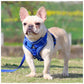 Blue Reflective Mesh Dog Harness and Leash Set - Adjustable No-Pull Vest - S