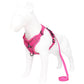 Rose Red Reflective Mesh Dog Harness and Leash Set - Adjustable No-Pull Vest - S