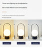 Silver Portable Rechargeable LED Lantern Lamp - Touch Control 3-Color Dimmable Desk Light