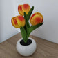 Orange Charging model Artificial Tulip Bouquet LED Light - Ceramic Pot Desk Lamp