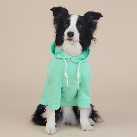 Green Classic Dog Sweatshirt with Hood & Drawstrings - For Large Dogs (Size : 2XL)