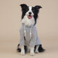 Grey Classic Dog Sweatshirt with Hood & Drawstrings - For Large Dogs (Size : 3XL)