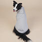 Grey Classic Dog Sweatshirt with Hood & Drawstrings - For Large Dogs (Size : 3XL)