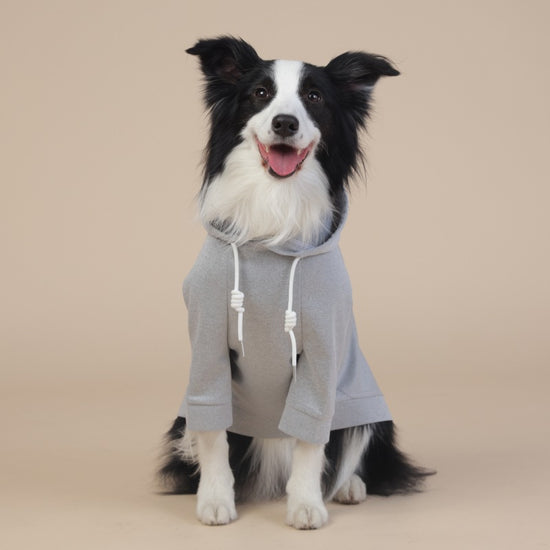 Grey Classic Dog Sweatshirt with Hood & Drawstrings - For Large Dogs (Size : XL)