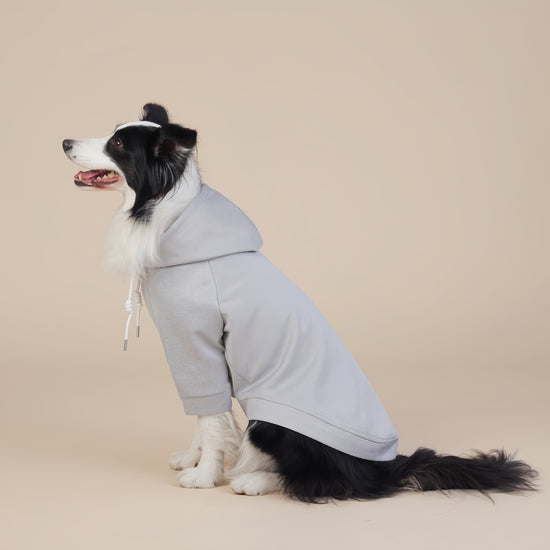 Grey Classic Dog Sweatshirt with Hood & Drawstrings - For Large Dogs (Size : XL)