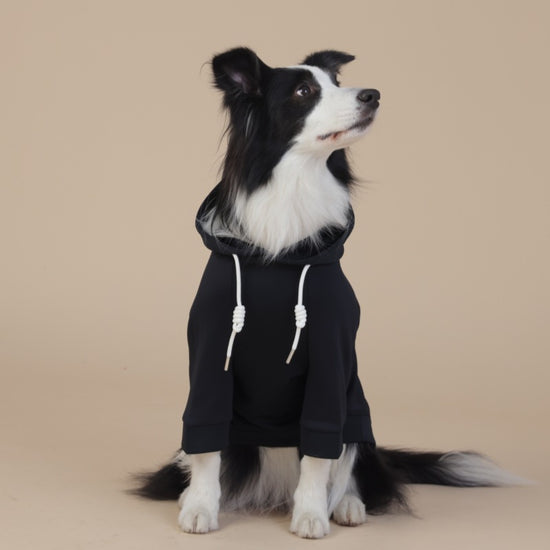 Black Classic Dog Sweatshirt with Hood & Drawstrings - For Large Dogs (Size : 4XL)
