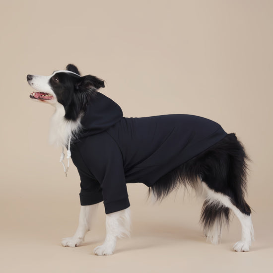 Black Classic Dog Sweatshirt with Hood & Drawstrings - For Large Dogs (Size : 5XL)